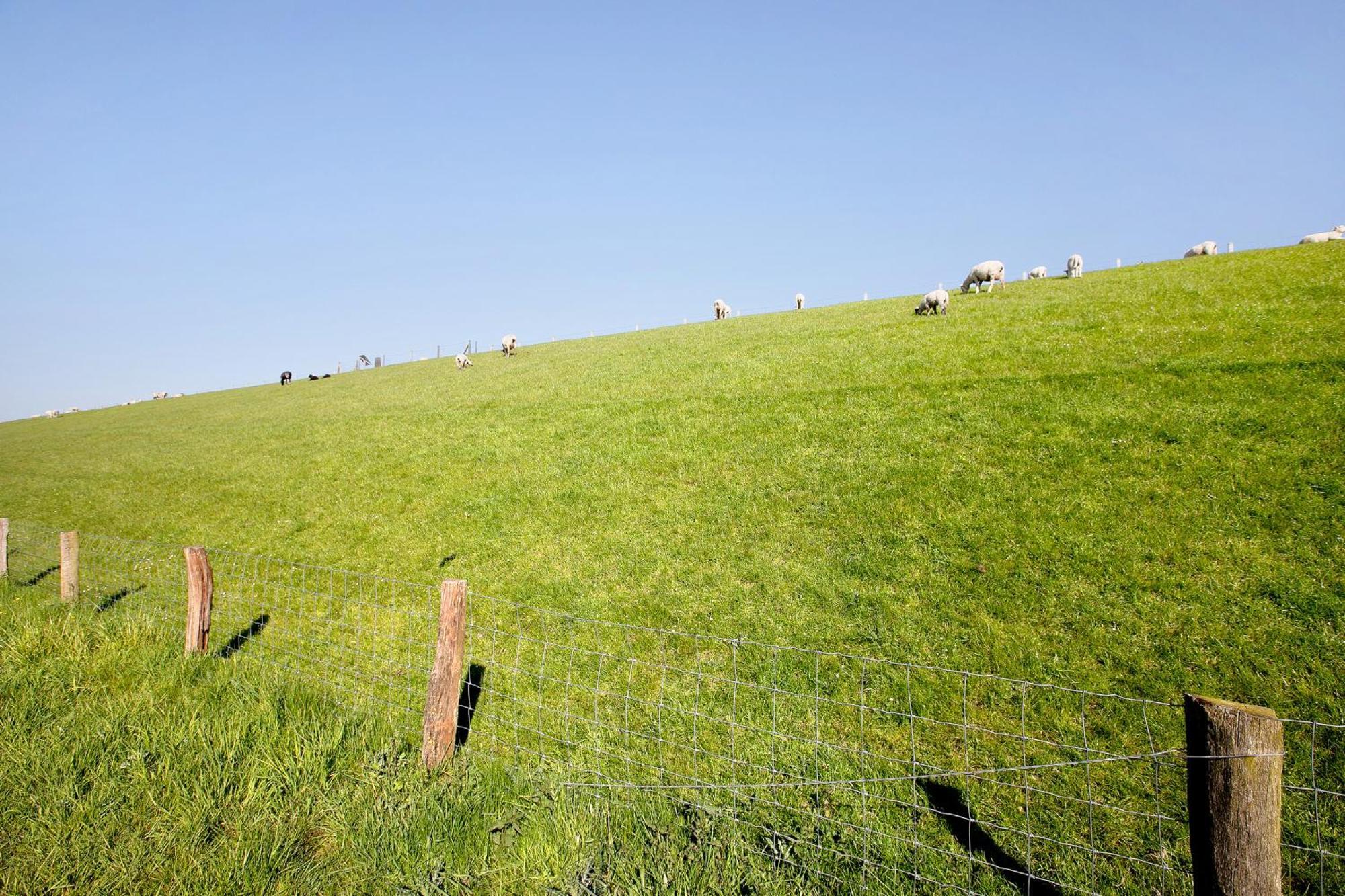 Hoern 1 Nordstrand Exteriör bild